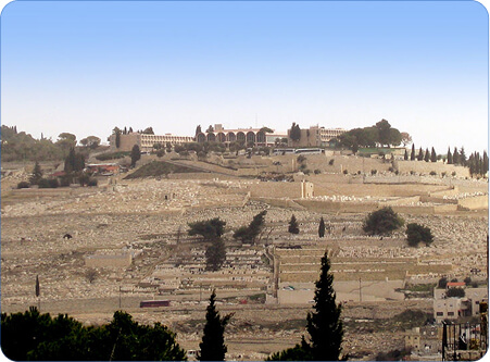 Rectangle 13 (10) (1)