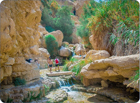 Rectangle 13 (8) (1)