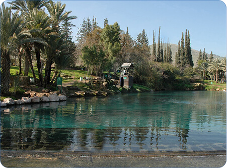 Rectangle 14 (1) (1)