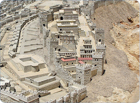 Rectangle 15 (2) (1)