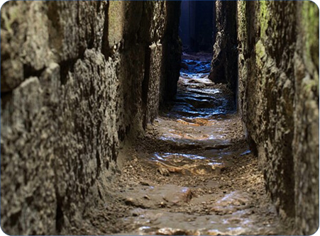 Rectangle 17 (4) (1)