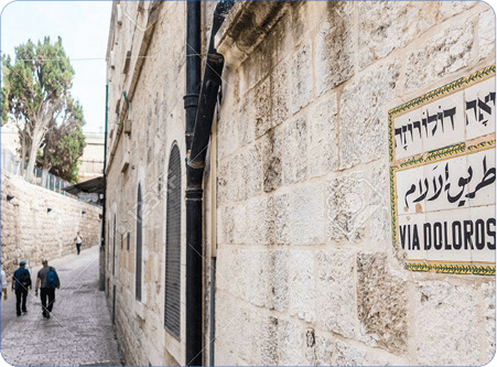 Rectangle 17 (5) (1)