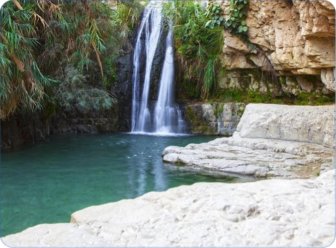 EIN GEDI